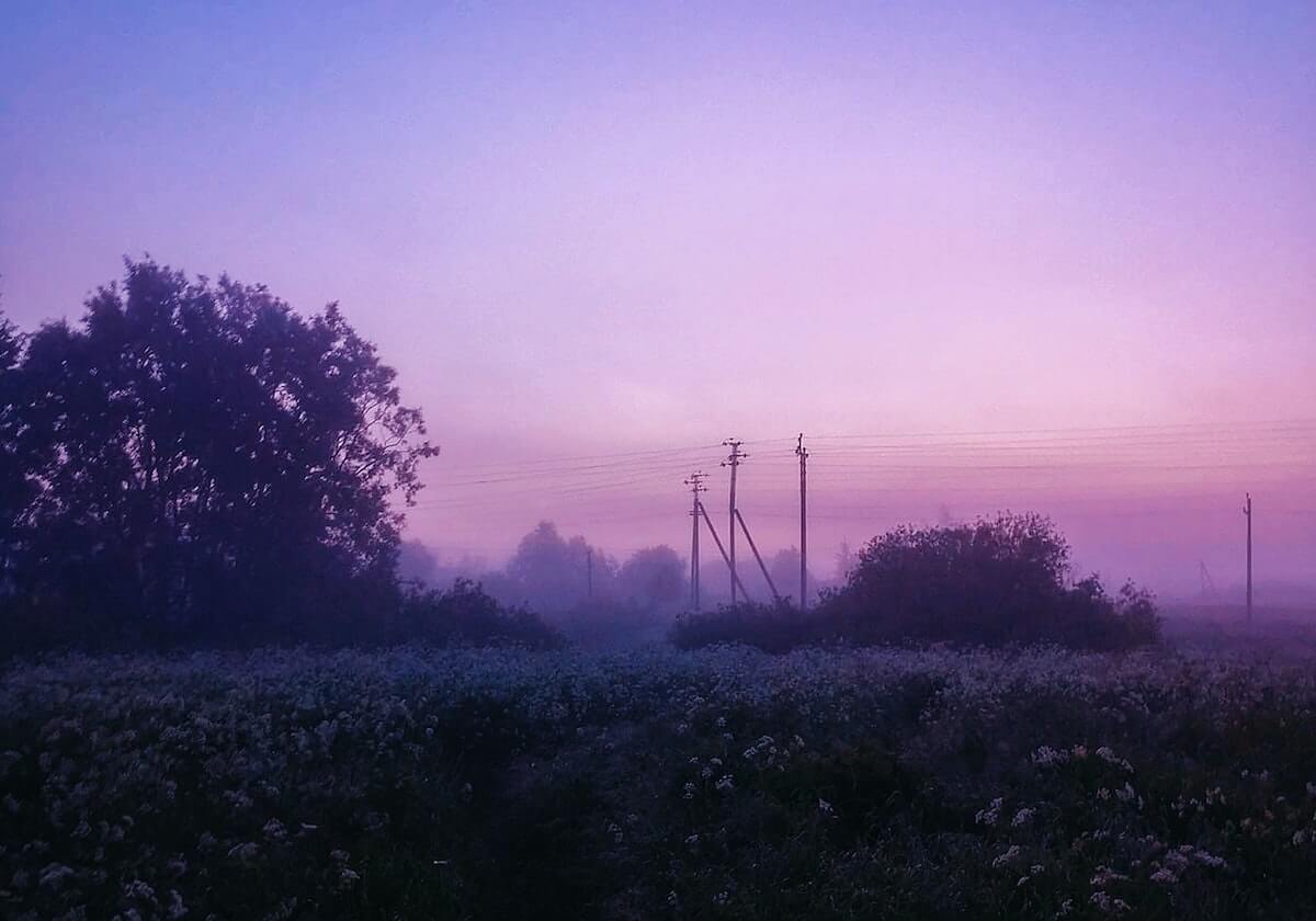 【爆料】每日大赛突发：神秘人在今日凌晨被曝曾参与花絮，迷醉席卷全网