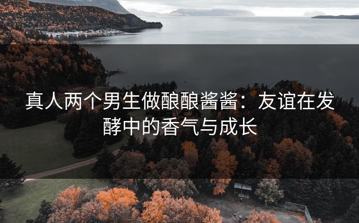 真人两个男生做酿酿酱酱：友谊在发酵中的香气与成长