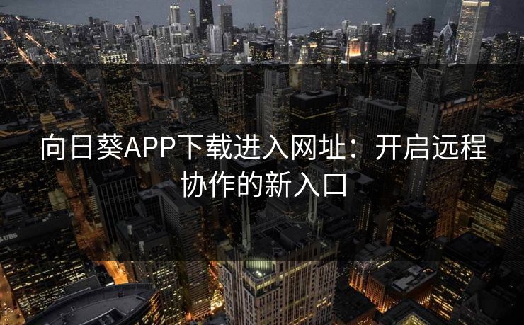 向日葵APP下载进入网址：开启远程协作的新入口