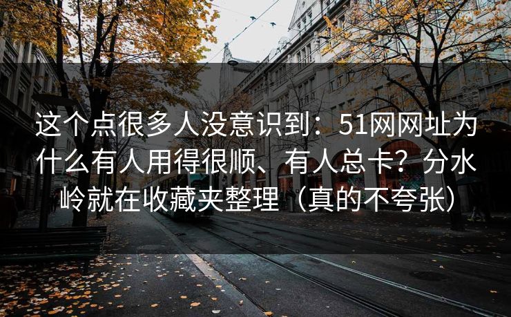 这个点很多人没意识到:51网网址为什么有人用得很顺、有人总卡?分水岭就在收藏夹整理(真的不夸张)